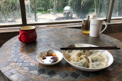 A warm welcome: homemade dumplings for lunch